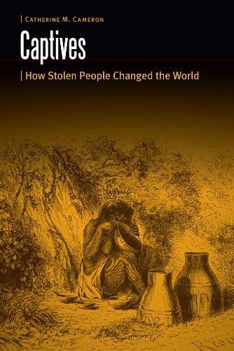 Captives: How Stolen People Changed the World