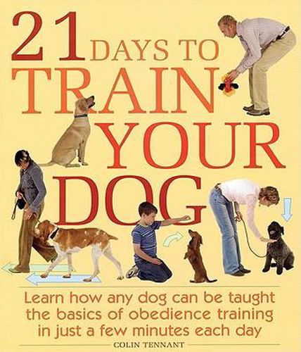 Cover image for 21 Days to Train Your Dog: Learn How Any Dog Can Be Taught the Basics of Obedience Training in Just a Few Minutes Each Day