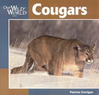 Cover image for Cougars