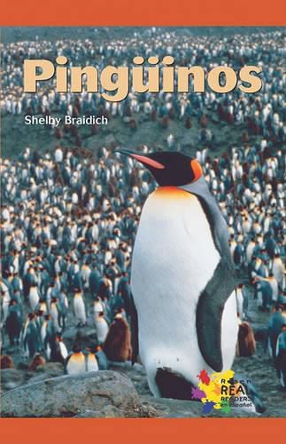 Cover image for Pinguinos