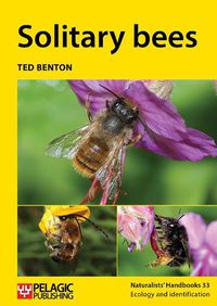 Cover image for Solitary bees