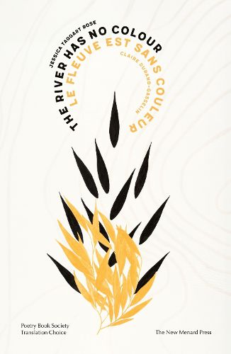 Cover image for The River Has No Colour