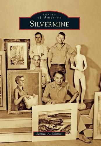 Cover image for Silvermine