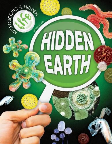 Cover image for Hidden Earth