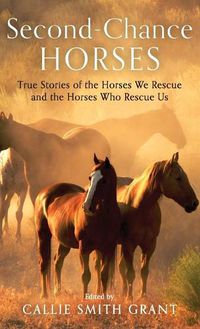 Cover image for Second-Chance Horses