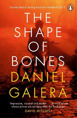 Cover image for The Shape of Bones