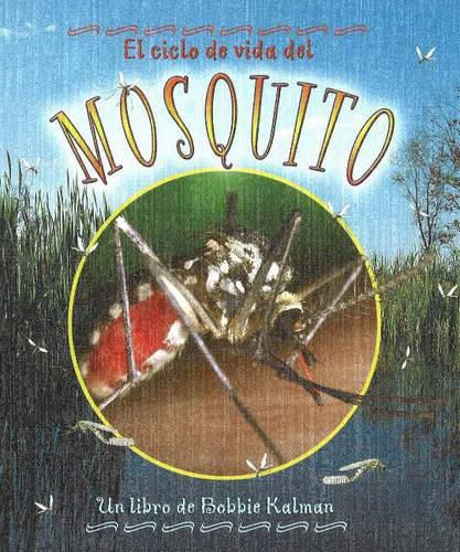 Cover image for El Ciclo de Vida del Mosquito