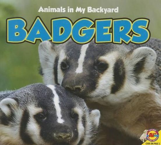 Cover image for Badgers