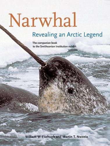 Cover image for Narwhal: Revealing an Arctic Legend