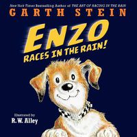 Cover image for Enzo Races in the Rain!