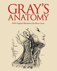 Cover image for Grays Anatomy