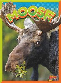 Cover image for Moose