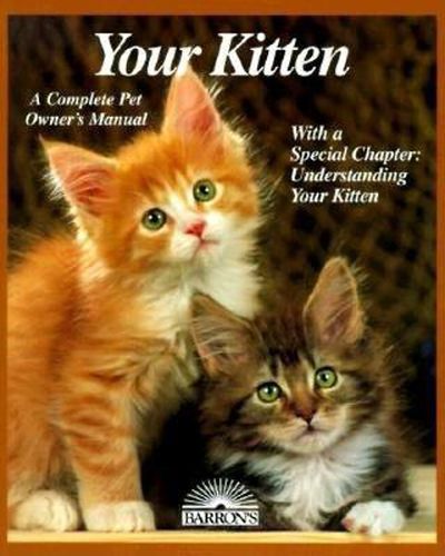 Cover image for Your Kitten