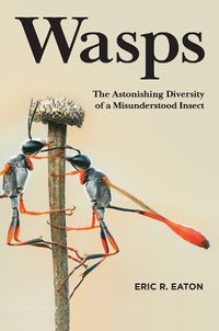 Cover image for Wasps: The Astonishing Diversity of a Misunderstood Insect