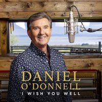 Cover image for I Wish You Well