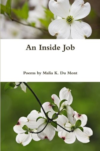 Cover image for An Inside Job
