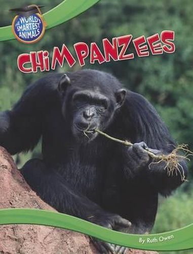 Cover image for Chimpanzees