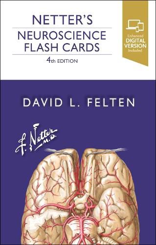 Cover image for Netter's Neuroscience Flash Cards