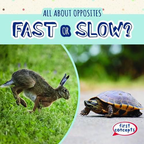 Cover image for Fast or Slow?