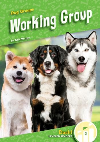 Cover image for Working Group