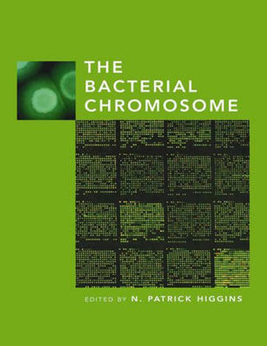 Cover image for The Bacterial Chromosome