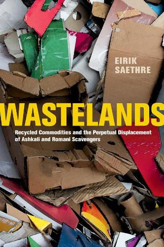 Cover image for Wastelands: Recycled Commodities and the Perpetual Displacement of Ashkali and Romani Scavengers