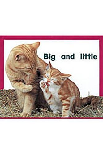 Cover image for Big and Little: Individual Student Edition Magenta (Level 2)