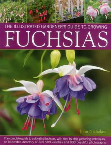Cover image for Illus Gardener's Guide to Growing Fuchsias: The Complete Guide to Cultivating Fuchsias, with Step-by-Step Gardening Techniques, an Illustrated Directory of Over 500 Varieties and 800 Beautiful Photographs