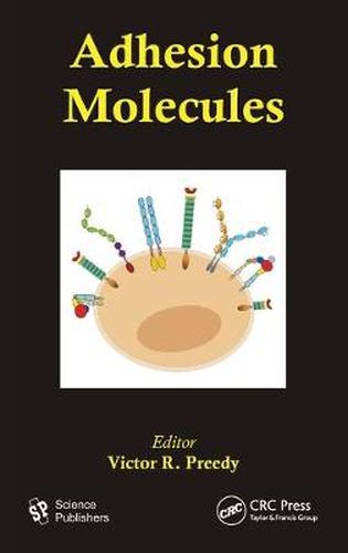 Cover image for Adhesion Molecules