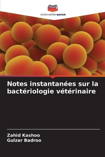 Cover image for Notes instantanees sur la bacteriologie veterinaire