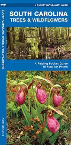 Cover image for South Carolina Trees & Wildflowers: A Folding Pocket Guide to Familiar Plants