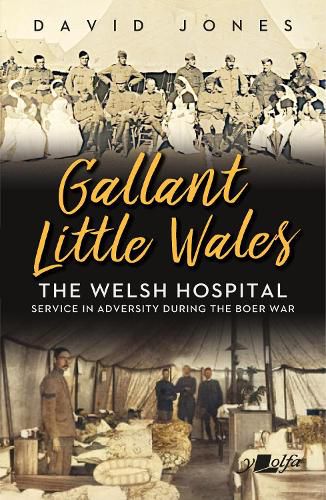 Cover image for Gallant Little Wales