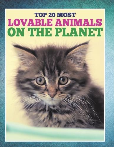 Cover image for Top 20 Most Lovable Animals On The Planet
