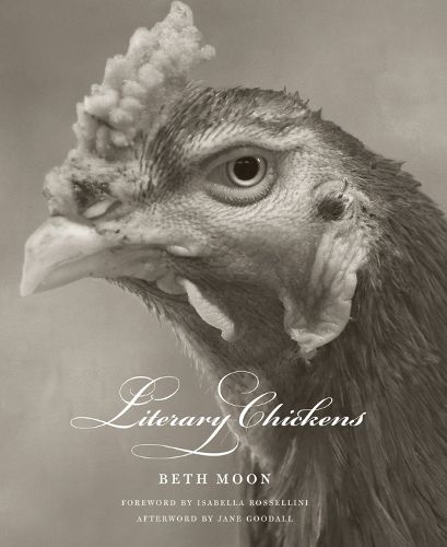 Cover image for Literary Chickens