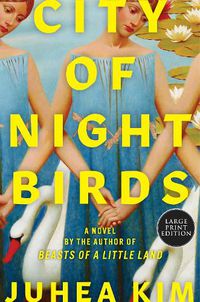 Cover image for City of Night Birds