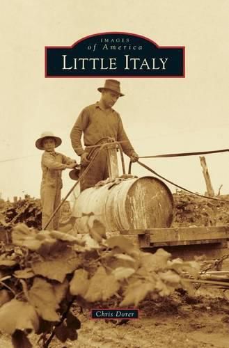 Cover image for Little Italy