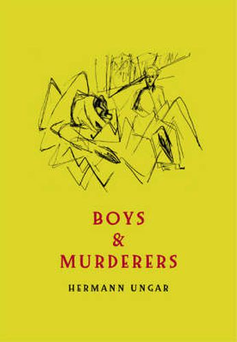 Cover image for Boys and Murderers: Collected Short Fiction