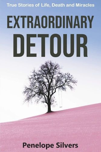 Cover image for Extraordinary Detour: True Stories of Life, Death and Miracles