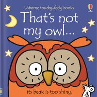 Cover image for That's not my owl...