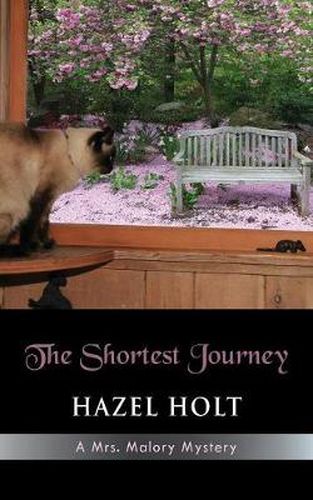 Cover image for The Shortest Journey