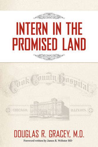 Cover image for Intern in the Promised Land