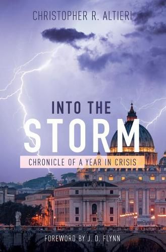 Cover image for Into the Storm: Chronicle of a Year in Crisis