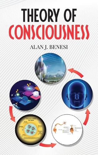 Cover image for Theory of Consciousness