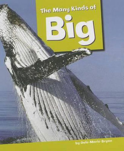 The Many Kinds of Big