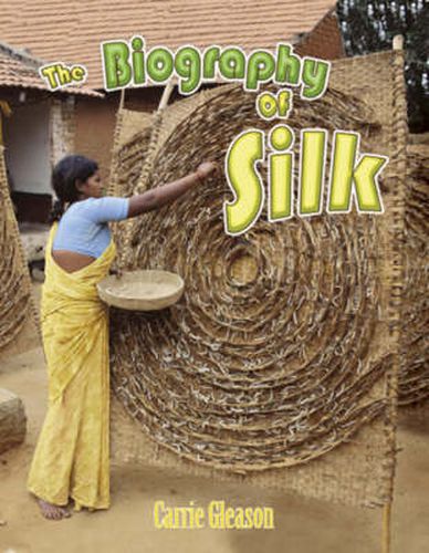 Cover image for The Biography of Silk