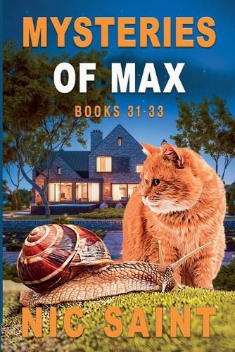 Cover image for Mysteries of Max
