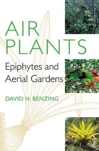 Cover image for Air Plants: Epiphytes and Aerial Gardens