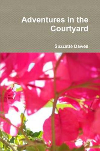 Cover image for Adventures in the Courtyard