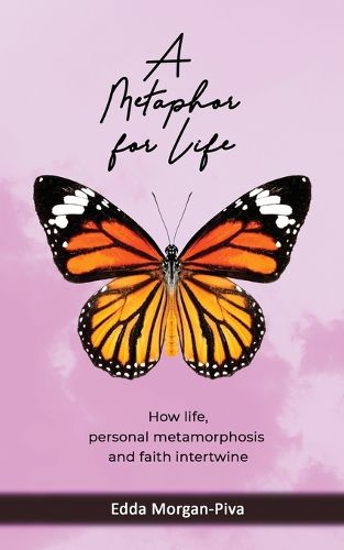 Cover image for A Metaphor for Life