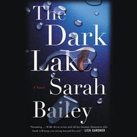 Cover image for The Dark Lake Lib/E